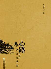 心路：老九诗歌集