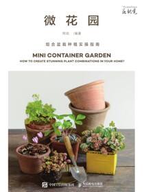 微花园 组合盆栽种植实操指南