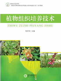 植物组织培养技术