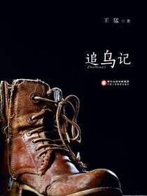 追鸟记