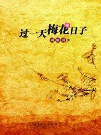 过一天梅花日子