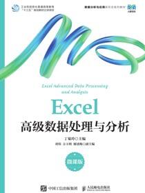 Excel高级数据处理与分析（微课版）
