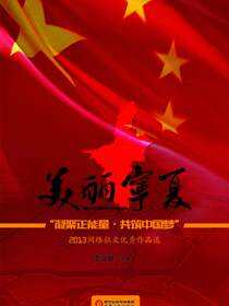 美丽宁夏：“凝聚正能量·共筑中国梦”2013 网络征文优秀作品选