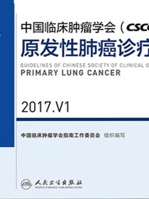中国临床肿瘤学会(CSCO)原发性肺癌诊疗指南 2017.V1