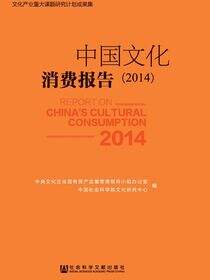 中国文化消费报告（2014）