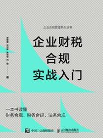 企业财税合规实战入门