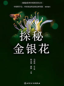 探秘金银花