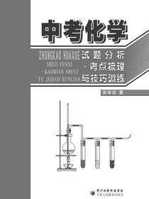 中考化学试题分析考点梳理与技巧训练
