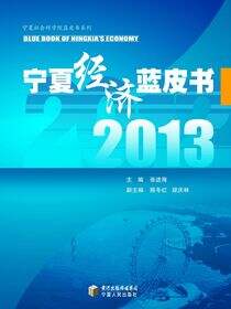 2013宁夏经济蓝皮书