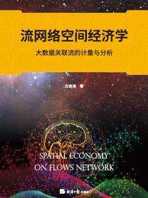 流网络空间经济学