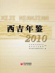 西吉年鉴2010