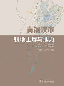 青铜峡市耕地土壤与地力