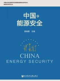 中国的能源安全