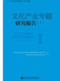 文化产业专题研究报告（上）