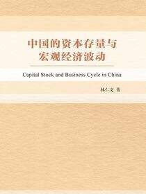 中国的资本存量与宏观经济波动