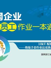 10kV配网不停电作业：绝缘手套作业法更换直线杆绝缘子
