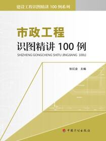 建设工程识图精讲100例系列 市政工程识图精讲100例