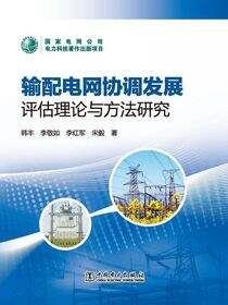 输配电网协调发展评估理论与方法研究