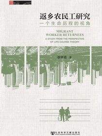 返乡农民工研究：一个生命历程的视角