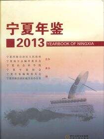 宁夏年鉴2013