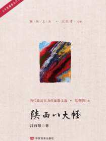 陕西八大怪
