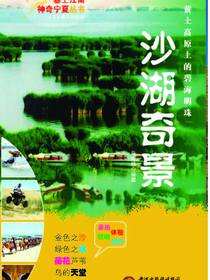 沙湖奇景
