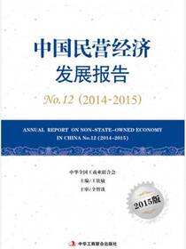 中国民营经济发展报告2015版No.12（2014-2015）