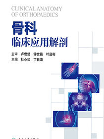 骨科临床应用解剖