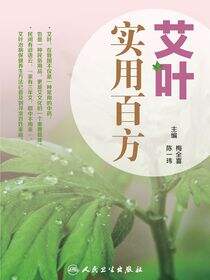 艾叶百科系列-艾叶实用百方