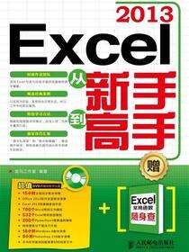 Excel 2013从新手到高手