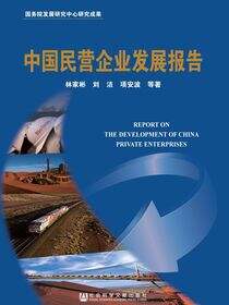 中国民营企业发展报告