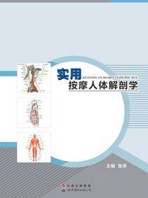 实用按摩人体解剖学