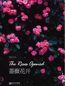 蔷薇花开