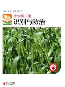 小麦病虫害识别与防治