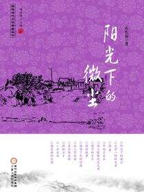 阳光下的微尘