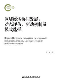区域经济协同发展：动态评估、驱动机制及模式选择