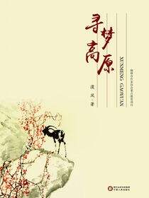 寻梦高原