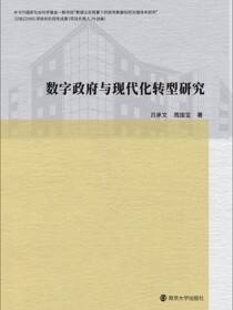 数字政府与现代化转型研究