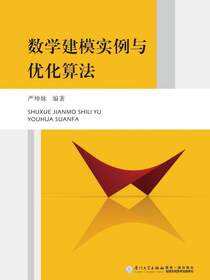 数学建模实例与优化算法