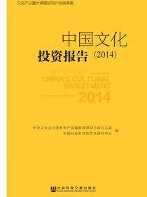 中国文化投资报告（2014）