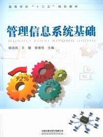 管理信息系统基础