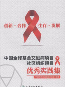 创新、合作、生存、发展——中国全球基金艾滋病项目社区组织项目优秀实践集
