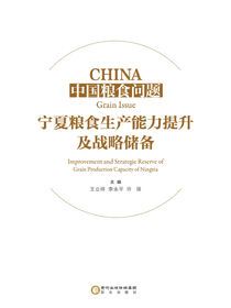 中国粮食问题：宁夏粮食生产能力提升及战略储备