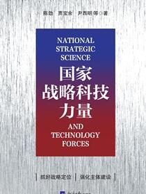 国家战略科技力量