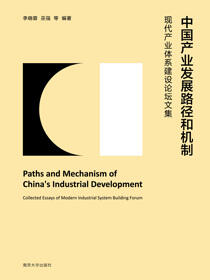 中国产业发展路径和机制