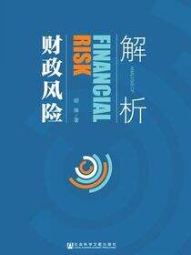 解析财政风险