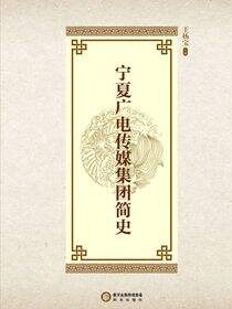 宁夏广电传媒集团简史