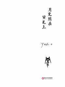 月光照在黛瓦上