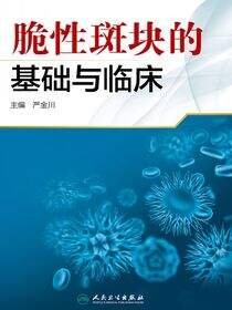 脆性斑块的基础与临床
