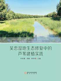 吴忠湿地生态修复中的芦苇建植实践